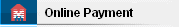 Online Payment